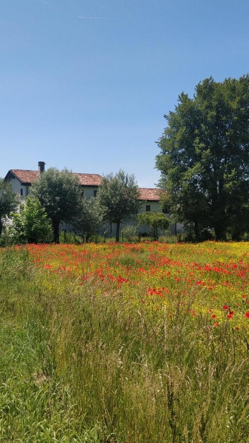 Porte Di Venezia, Tessera Aeroporto Favaro Veneto Exteriér fotografie
